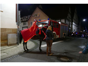 Sankt Martin Laternenumzug durch die Stadt (Foto: Karl-Franz Thiede)